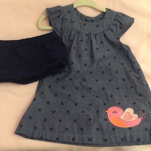Baby  eyelet dress with bloomers